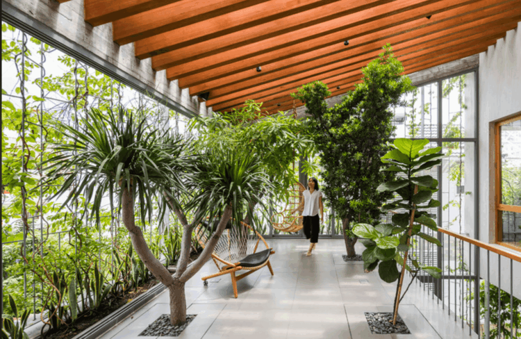Biophilic Design: Maximizing High-Value Real Estate Investment Returns